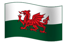 Flag